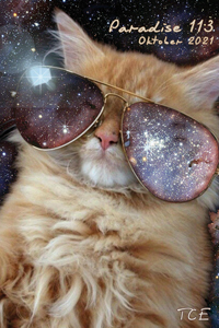 Paradise 113 - (c) N. N.
